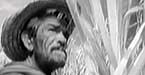 12)- Curso de Filosofía: el Socialismo y el Hombre en Cuba - Ernesto Che Guevara
