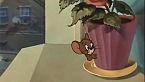 Tom & Jerry 055 - Casanova cat