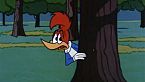 Woody Woodpecker Season15 Episode09 - Careless Caretaker