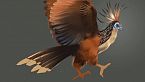 Hoatzin: l\'uccello puzzolente