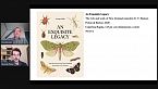 Formiche - Illusioni ottiche e moscerini - L’entomologo e le ore - Semina su sodo