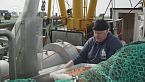 Camaroneros del Mar del Norte - Un oficio que lucha por sobrevivir