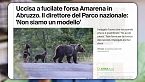 Sull\'orsa Amarena uccisa: gli Orsi non sono tutti uguali!
