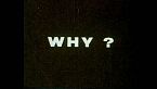 Why (Perché) di Monica Maurer e Abdel Rahman Bseisso - 1983