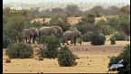 Africa, meraviglie nascoste: Sahara