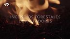 Cómo los incendios están destruyendo los bosques de Bolivia