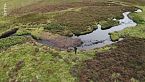 Highlands di Scozia: tra valli e foreste - Europa selvaggia