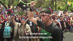 ¿De dónde son los mapuche?