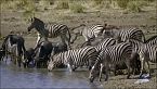 Waterworld Africa - Acque preziose