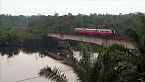 El viaje ferroviario de Camerún: El pasado y el futuro