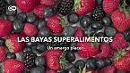 Las bayas superalimentos - Regionales contra importadas